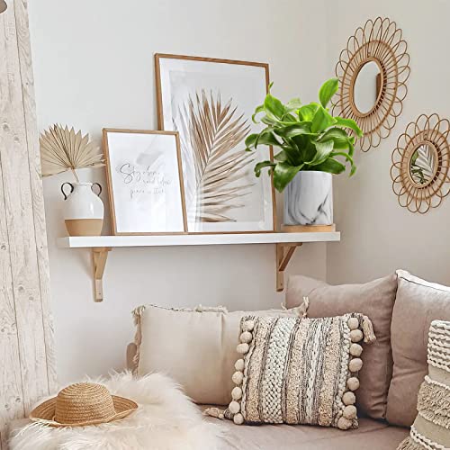 Feiaa Plant Pots Flower Pots 6 Inch Succulent Pot With Holes And Saucer Marble White Planter Container For Home Decoration Indoor Outdoor Modern #TOP3