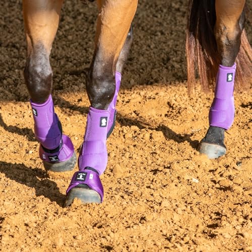 Image of Classic Equine Legacy2 Support Boots, Front (Violet Purple, Medium)