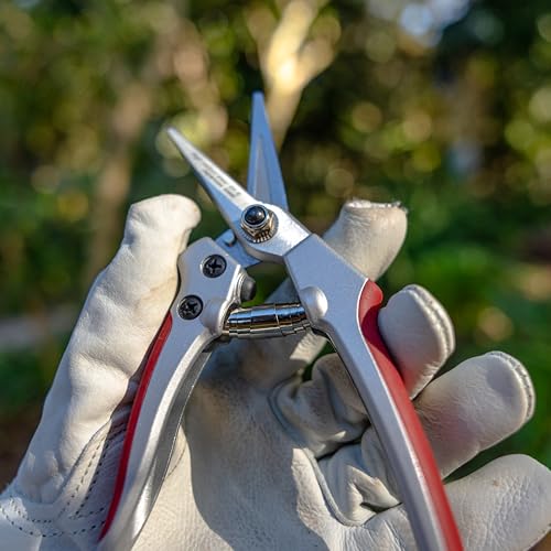Tijera de podar fina de aluminio 7 pulgadas miniatura 3