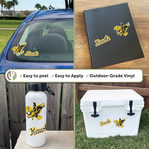 Vinilo de Iowa Hawkeyes Vintage V2 de 4 pulgadas el detalle ideal para coleccionistas 3