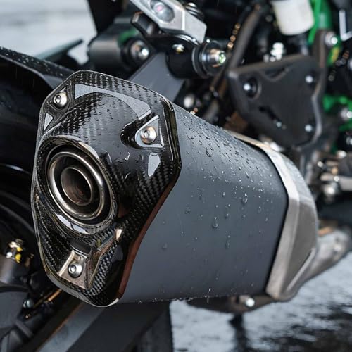 Couvercle bouclier thermique échappement carbone Kawasaki Z900 17-26 - 2