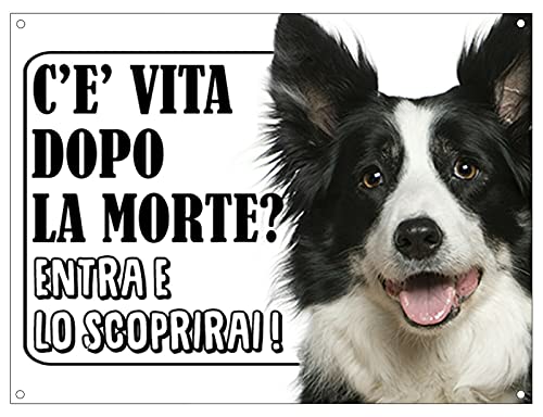CARTELLO ATTENTI AL CANE - BORDER COLLIE c'è vita