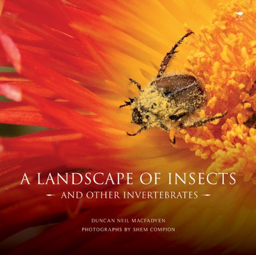 A Landscape of Insects: And Other Invertebrates