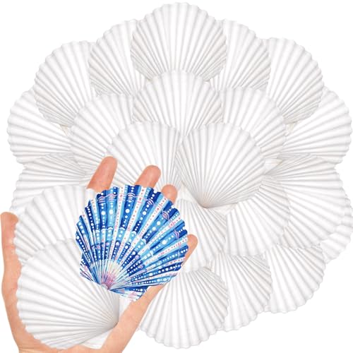 20Pcs 2-3 Inch Scallop Shells for Crafts