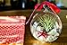 Hinterland Trading Mother's Day Gift Air Plant Tillandsia Pink Starfish Seashell Glass Hanging Terrarium Kit Beautiful Houseplant