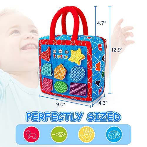 Teytoy Shape Sorter Toys With 2-Sided Activity Bag And 8 Textured Shape Blocks Develop Sensory Fine Motor Skills Game Child Development Preschool Baby Toy For 6-12 Months And Older #TOP5