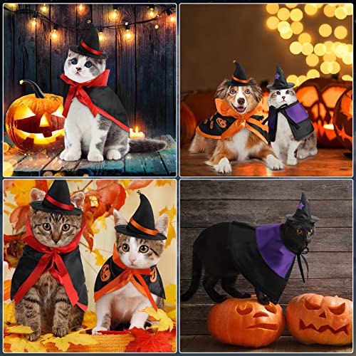 6 piezas Disfraz Halloween para gatos con capa y sombrero miniatura 7