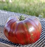 Pink Berkeley Tye Dye Heirloom Tomato Premium Seeds for Planting Packet