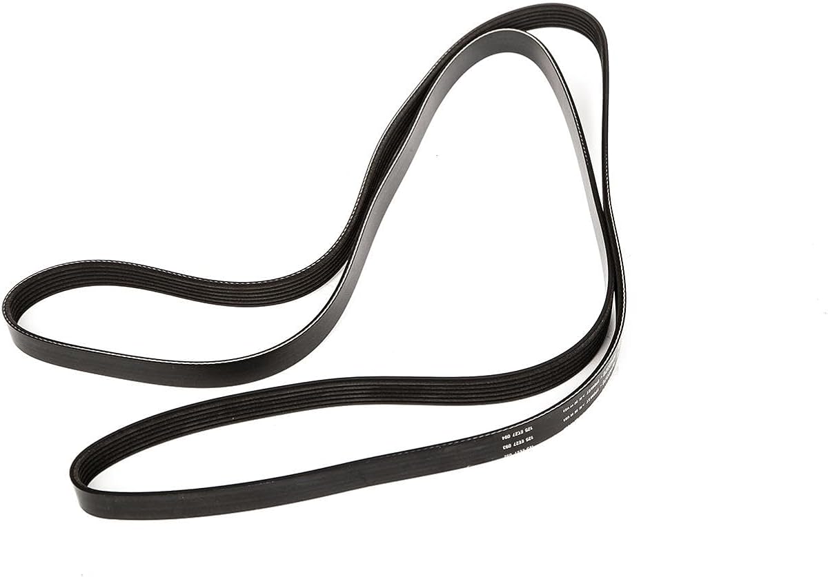 Cinta serpentina acanalada en V 12626222 para equipo original ACDelco GM