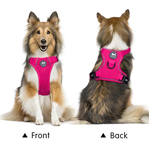 Poypet Reflective Soft Breathable Mesh Dog Harness No Choke Double Padded Vest Adjustable(Fuchsia,M) #TOP2