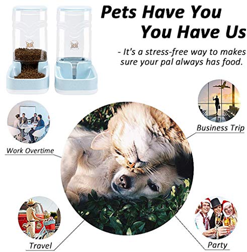 Automatic Pet Feeder and Waterer Dispenser Set, Dog Food and Water Dispenser Station, Self-Dispensing Gravity Water Fountain for Small Medium Puppy and Kitten, Cat/Dog Food Bowl 3.8L/ 1 Gal x 2. - Thumbnail 3