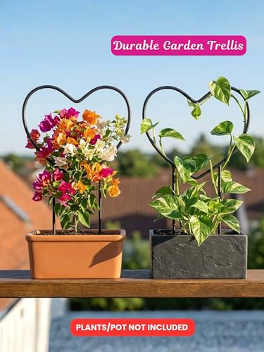 Image of Bombay Greens Heart Metal Trellis Climbers Support for Plants | Iron Garden Money Plant Climbers & Plant Support Stick | Rust Resistant Plant Support Ring for Indoor & Outdoor Garden Pots - Pack of 2