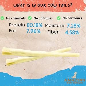 Wonderful Canine Treats - 12 Inch Cow Tail Canine Chew - (6 Pcs/Pack) - Premium High quality - Sourced from Grass Fed Cattle - Lengthy Lasting Canine Chew - Rawhide Different Wonderful Canine Treats – 12 Inch Cow Tail Canine Chew – (6 Pcs/Pack) – Premium High quality – Sourced from Grass Fed Cattle – Lengthy Lasting Canine Chew – Rawhide Different