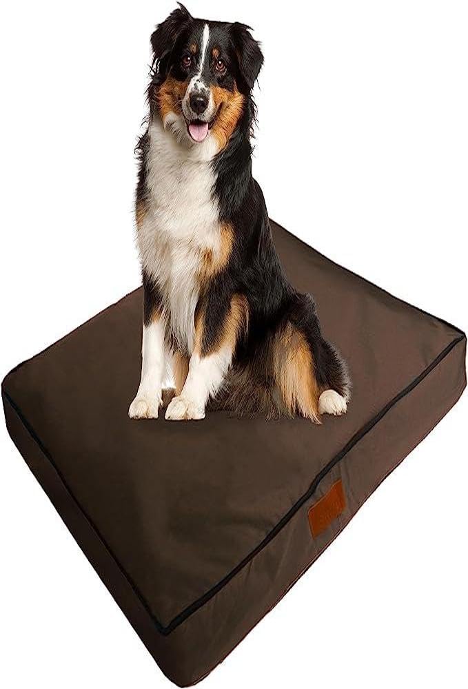 Ellie-Bo Small Memory Foam Dog Bed for 24-inch Dog Cage/Crate - Brown Water Resistant