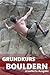 Grundkurs Bouldern: erweiterte Ausgabe