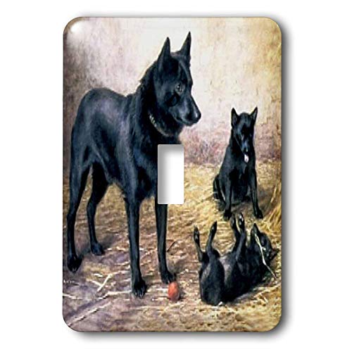 3dRose Schipperkes-Interruptor de palanca individual (LSP_803_1), varía