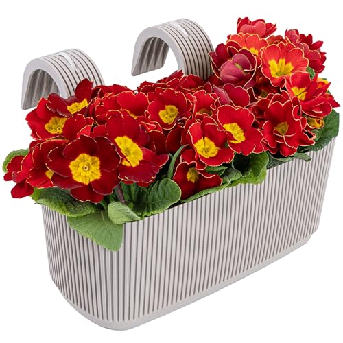 Konzept 11 Balkon Blumenkasten mit Halterung – 29 x 19 cm,...