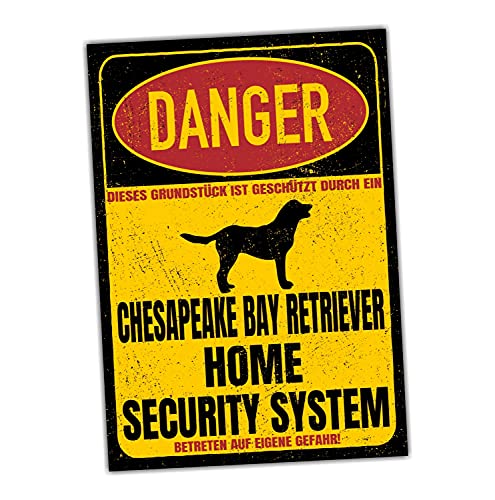 Chesapeake Bay Retriever Dog Schild Danger Security System Türschild Hundeschild Warnschild Sicherheitsschild Hund Privatgrundstück Hundewarnung Warnung vor dem Hund