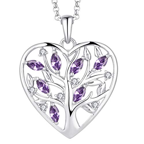 Jo Wisdom Collar De Corazón Plata De Ley 925 Mujer,Colgante Con Cadena Árbol De La Vida 3a Circonita Piedra Natal De Febrero Color Amatista,Joyas Para Mujeres Niña Mamá Jo Wisdom Collar De Corazón Plata De Ley 925 Mujer,Colgante Con Cadena Árbol De La Vida 3a Circonita Piedra Natal De Febrero Color Amatista,Joyas Para Mujeres Niña Mamá