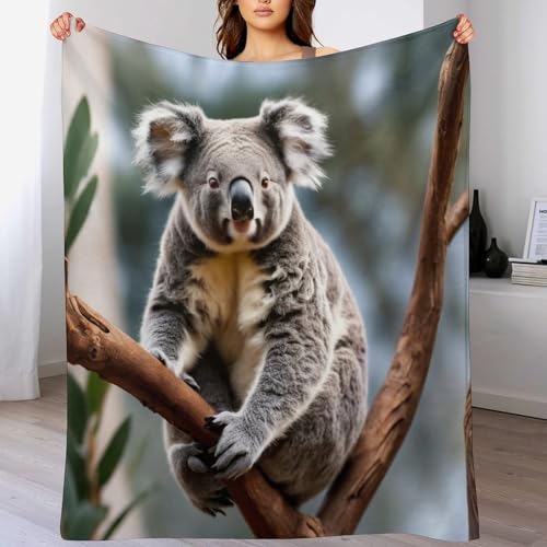 Couverture flannel douce koala 150x200cm haute qualité