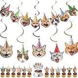 Hooqict 38 Pieces Cat Birthday Decorations Cat Birthday Party Supplies Set with Cat Birthday Banner Hanging Swirls Cake Topper Cupcake Toppers for Cat Themed Birthday Party Decor
