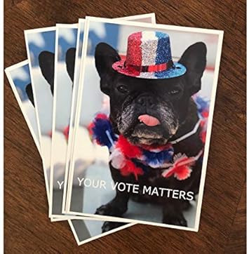Postcards to Voters - 150 Pack (Your Vote Matters)
