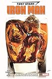 panini comics batman  Tony Stark: Iron Man: Bd. 2: Identitätskrise