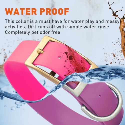 Image of Viper Biothane Heavy Duty Waterproof Dog Collar Strong Coated Nylon Webbing w /Solid Brass Hardware Odor-Proof Easy to Clean High Performance Fits Small Medium or Large Dogs, Passionfruit Pink