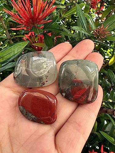 Image of GAF TREASURES 1 /2 LB African Bloodstone Tumbled Stones, Polished African Bloodstone Gemstone, African Bloodstone Healing Crystals (African Bloodstone)