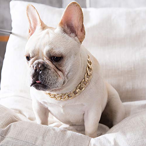 CJFael Collari per Animali Domestici, Collare per
