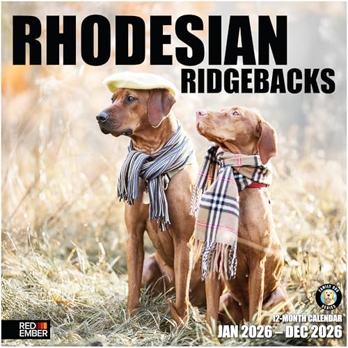 Image of RED EMBER Rhodesian Ridgebacks 2026 Wall Calendar 12 Month | 12 inch x 24 inch Open | Thick & Sturdy Paper | Giftable | Cute Puppy Dog Calendar 2026