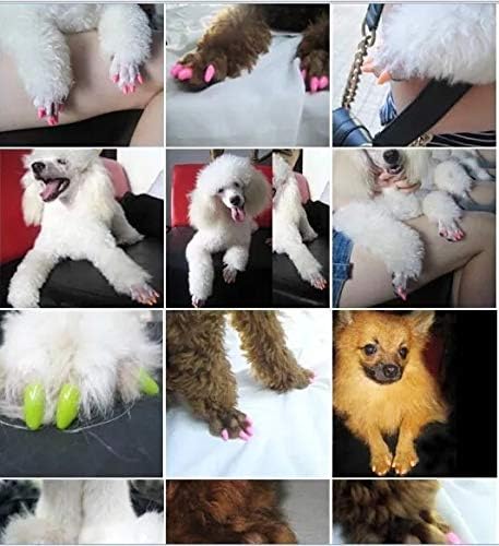 SJT® Buy 2 Get 1 Pet Armor Products, Dog Nail Catlike Sets, The Cat Claw Set Send Glue