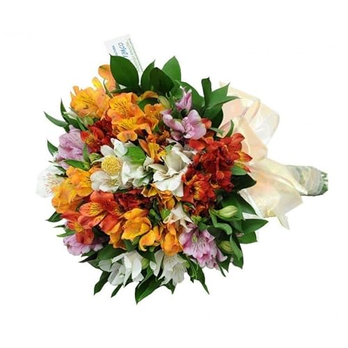 Astromelias Cortadas - Ramo de 30 Flores Naturales para Decoración y Eventos - Bouquet Lirios del Perú y del Inca