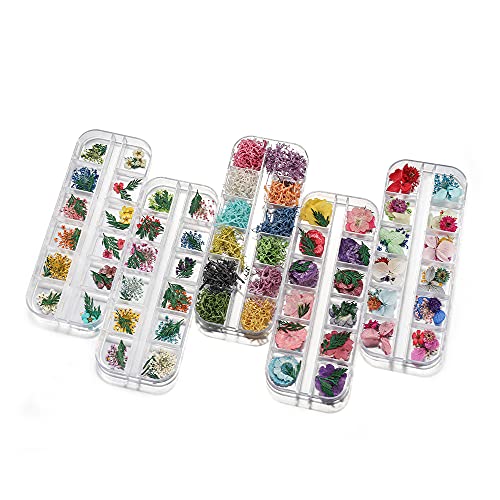 Caja de Flores Secas Naturales para Manualidades miniatura 7