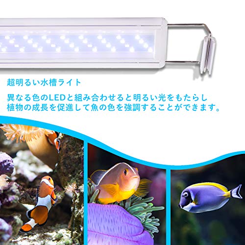 LEDGLE 水槽ライト 10W アクアリウム ライト 56LED YGD-56LED の商品画像 1