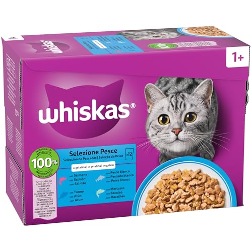 Whiskas Comida Húmeda para Gatos Adultos Selección Pescados en Gelatina (Multipack 4x12x85g)