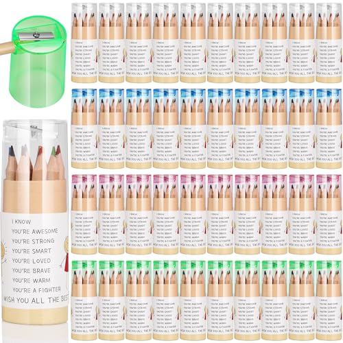 Dcocdeely 24 Pack Inspirational Colored Pencils with Sharpener in Tube,