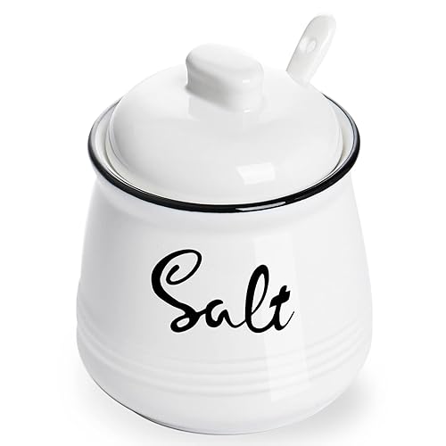 HAOTOP Farmhouse Porcelain Salt Bowl with Lid and Spoon 12oz,Easy