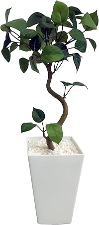 Amazon 神戸花物語 フェイクグリーン 観葉植物 造花 ミニ 人工観葉植物 聖木ベンジャミンポット 46cm 鉢植 白鉢 Ct触媒 人工観葉植物 オンライン通販 Amazon 神戸花物語 フェイクグリーン 観葉植物 造花 ミニ 人工観葉植物 聖木ベンジャミンポット 46cm 鉢植 白鉢 Ct触媒 人工観葉植物 オンライン通販