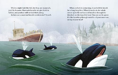 Image of My Little Golden Book About Whales