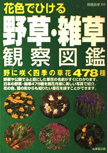 51f3EK369bL.jpg