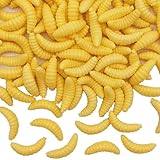 100 Pcs Rubber Maggots Fishing Bait 1 Inch (22mm) Crappie Jigs, Fishing Maggots Bait, Bulk Fishing Grubs for Trout, Crappie, Pan Fish, Bluegill, Fresh Water Fishing Lures Set