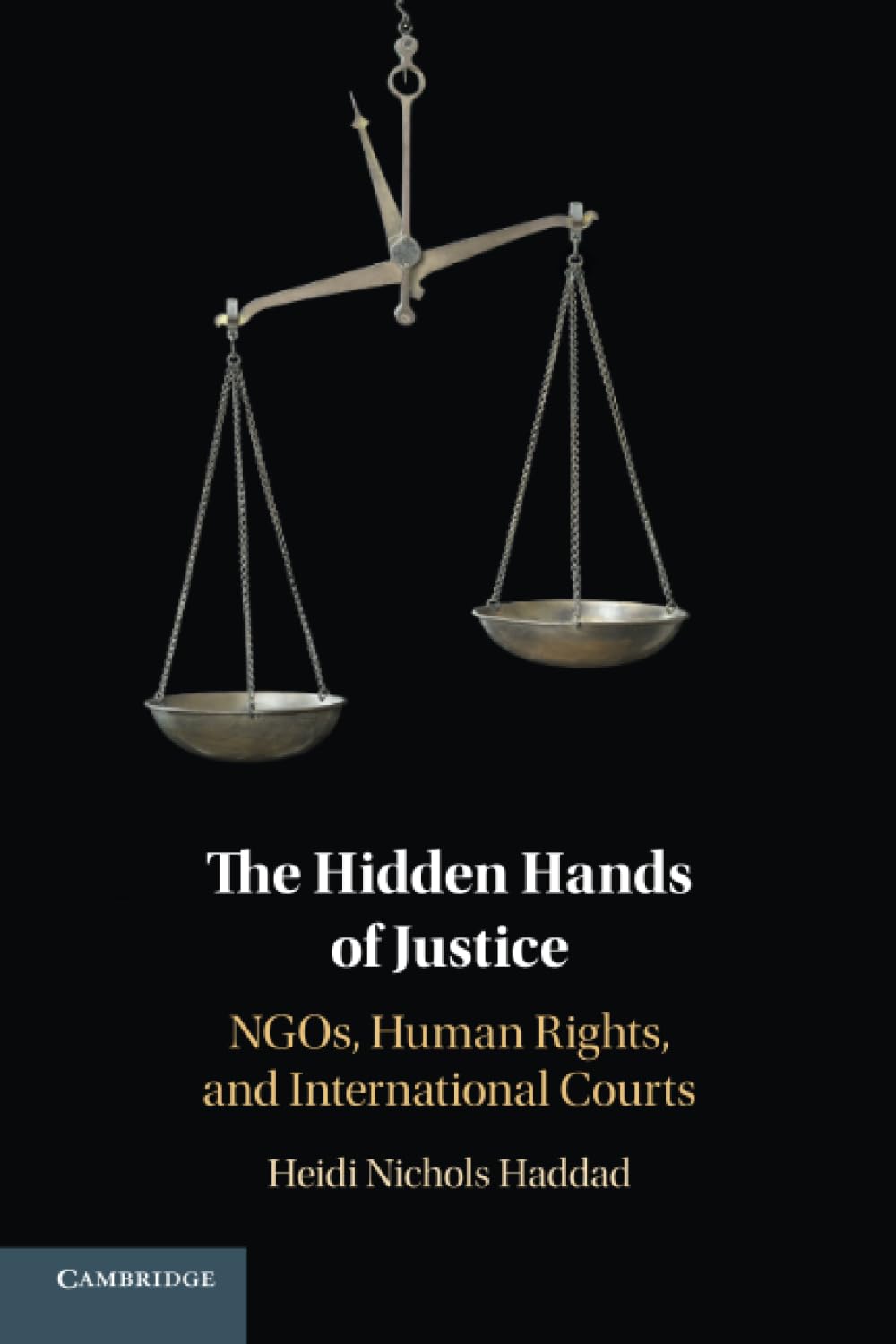 The Hidden Hands of Justice: NGOs, Human Rights, and International Courts