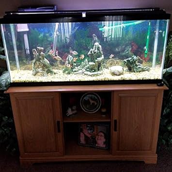 turtle aquarium stand