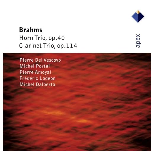 Clarinet Trio in A Minor, Op. 114: I. Allegro