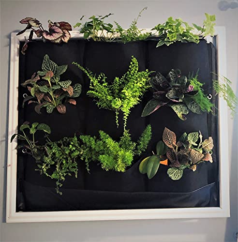 Delectable Garden 12 Pocket Indoor Waterproof Vertical Living Wall Planter, Multicolor - Image 5