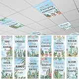 Capoda 12 Pcs Fluorescent Light Covers for Ceiling Lights 4 x 2 Ft Magnetic Cactus Light Covers Positive Fluorescent Ceiling Shade Filters for Classroom Home Hospital Office Cubicle Party Decor