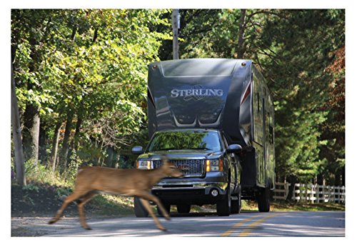 Lippert Forward Self-Adjusting Brake Assembly For Left Side 12" X 2", 3500-7,000 Lbs. Capacity, For 14.5", 15", 16" Wheels - 296651 #TOP2