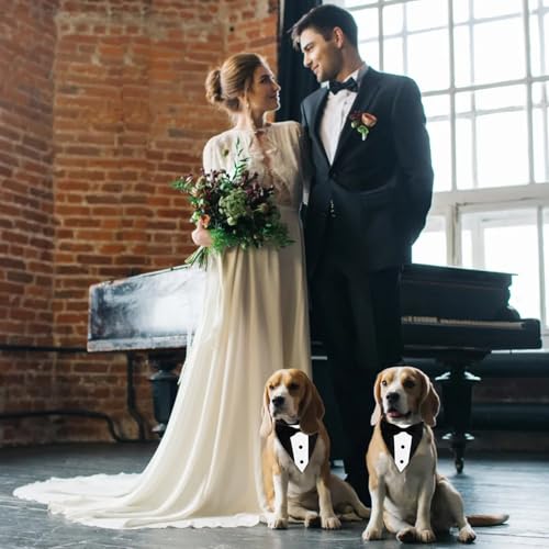 Smoking para cães, fantasia formal de cachorro, coleira bandana de casamento com gravata borboleta p