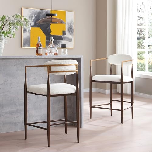 Christopher Knight Home Ebany 25' Barstools Set of 2,...